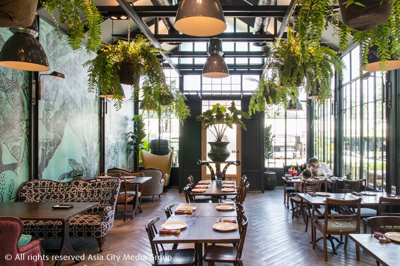 ร้านอาหารเขียวไข่กา