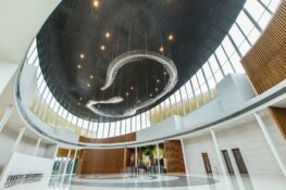 พาไปชม Siam Serpentarium พิพิธภัณฑ์งูหนึ่งเดียวในเอเชีย