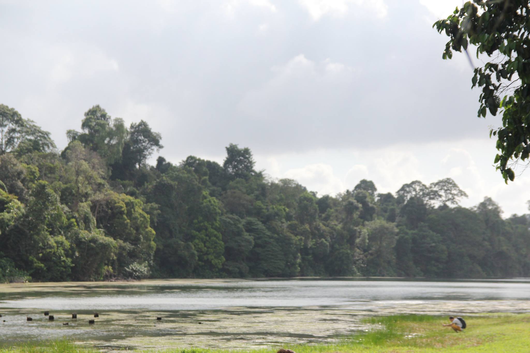 4 ที่เที่ยวเขียวๆ ใจกลางเมืองสิงคโปร์ที่ไม่ไปไม่รู้