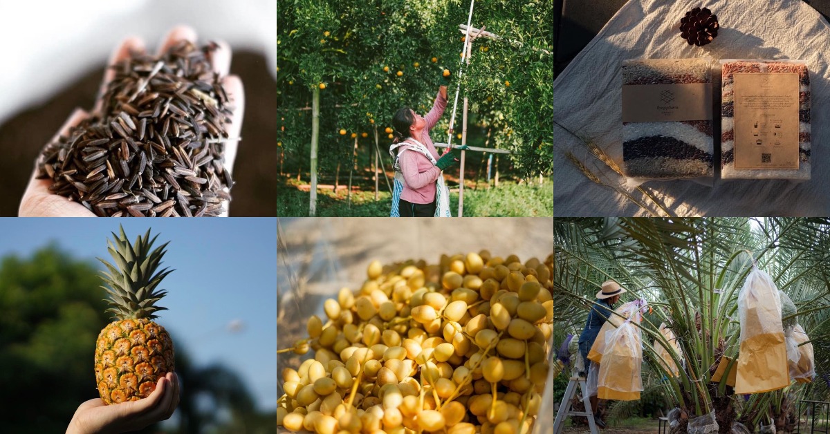 ชวนกดสั่งผลิตภัณฑ์จาก LocalFarm ตลาดกลางออนไลน์ที่ส่งตรงสินค้าและเรื่องราวชาวเกษตรกรสด ๆ จากสวน