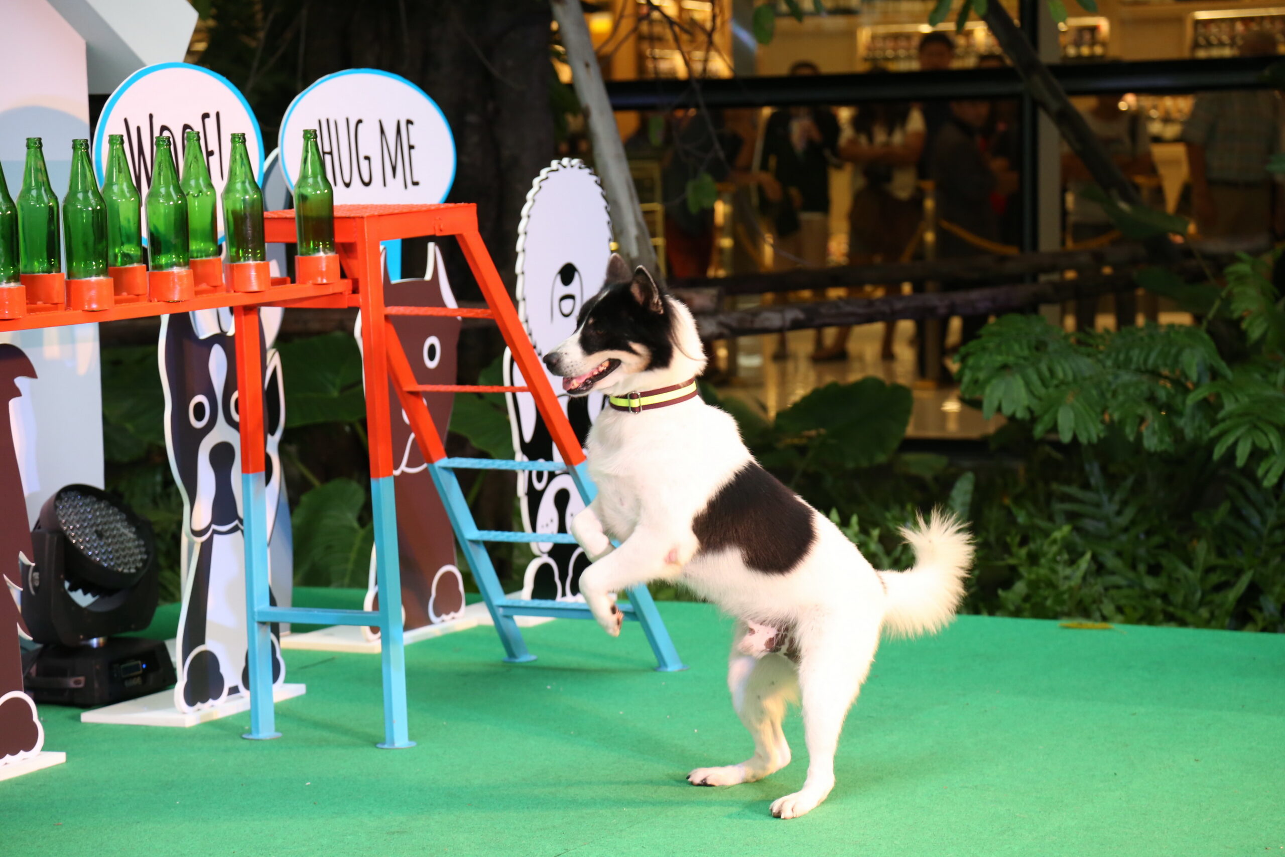 จูงเจ้าตูบมาปาร์ตี้ที่ The EmQuartier Pet-A’-Porter ช่วงสุดสัปดาห์นี้กันเถอะ!