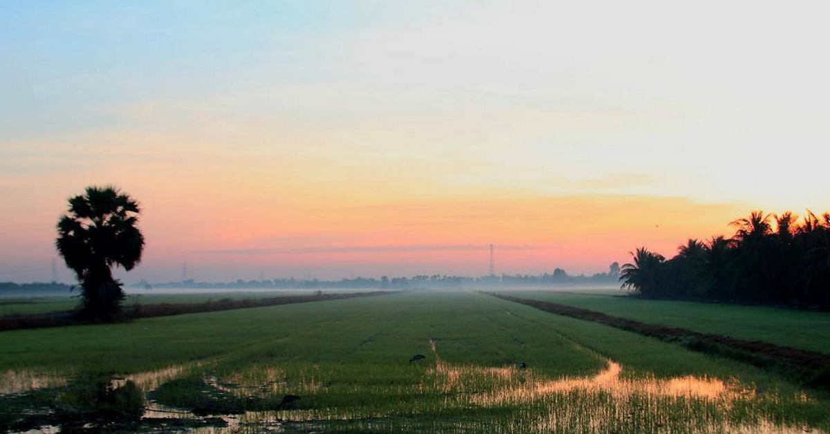 ชวนไปลองใช้ชีวิตแบบไม่มีไฟฟ้าใช้ แล้วออกไปกางเต็นท์กลางทุ่งนากันที่งาน Lost In The Field Festival