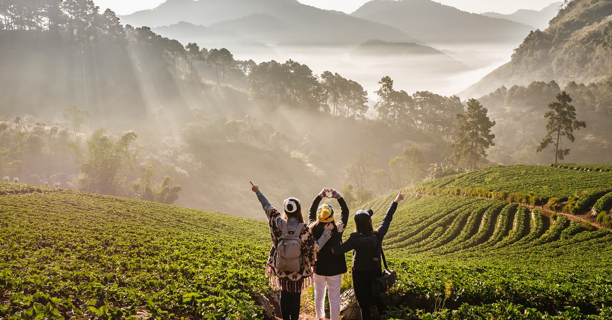 ไม่เที่ยวไหน ไปเที่ยวไทย: สัมผัสลมหนาวล็อตสุดท้ายตามโพย 60 เส้นทางความสุข