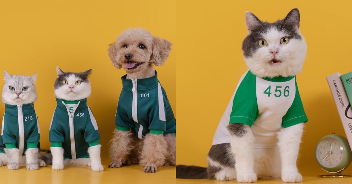 เปลี่ยนเจ้านายเป็น ‘ผู้เล่น’ ด้วยคอสตูม Squid Game ที่ให้น้องหมาน้องแมวได้เล่นเกมกับเหล่าทาส