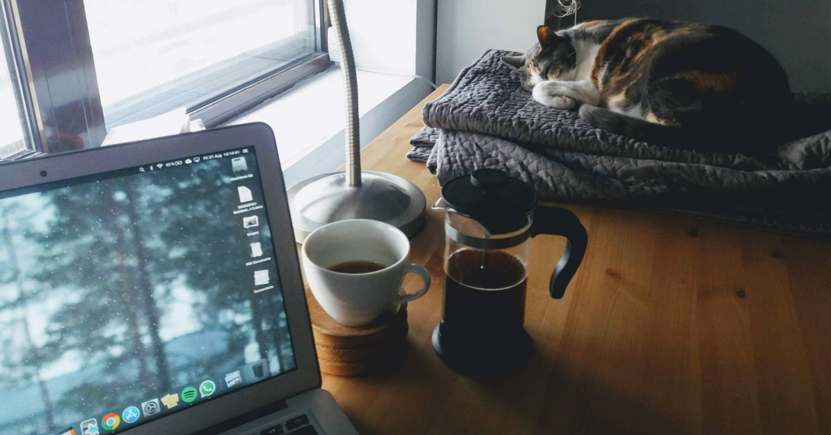 ความสุขพื้นฐาน ทำอาหารกับเชฟ เสพเรื่องดวงดาว: 9 คอร์สออนไลน์ที่เราอยากชวนเรียนที่บ้าน