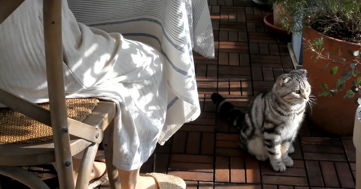 ทำสวน จัดบ้าน ผลาญเวลา: ส่อง 6 YouTube ที่ทำให้การอยู่ติดบ้านช่วงนี้ดีต่อใจ