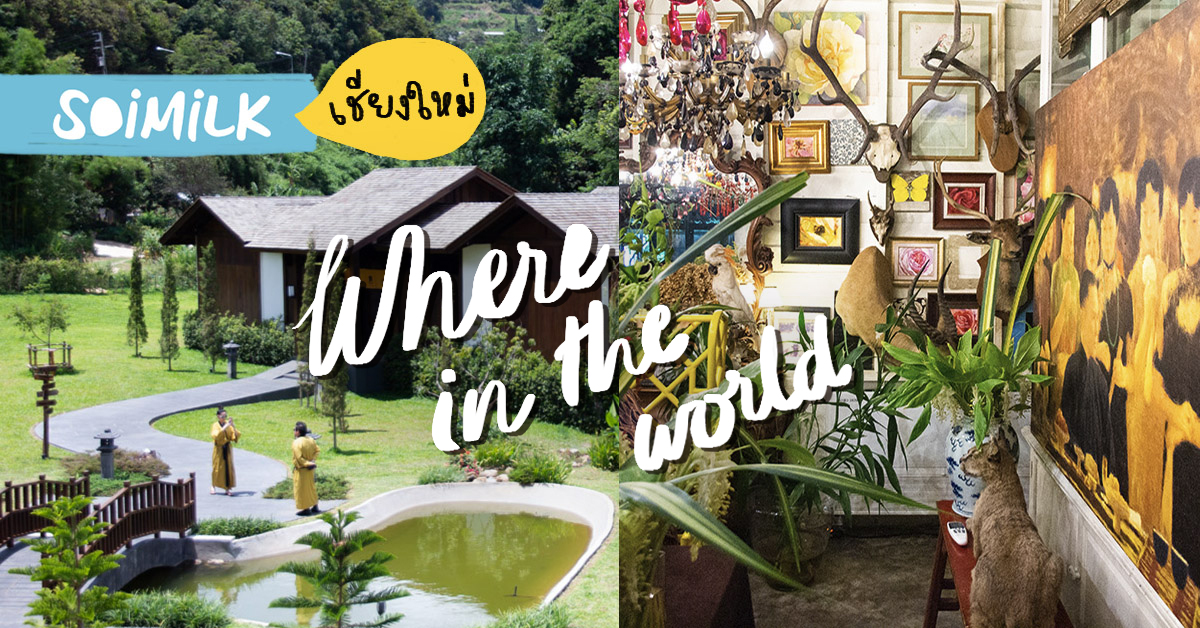 เที่ยวเชียงใหม่แบบลักชัวรีไปกับแคมเปญ Where In The World ใหม่ล่าสุดจากททท.