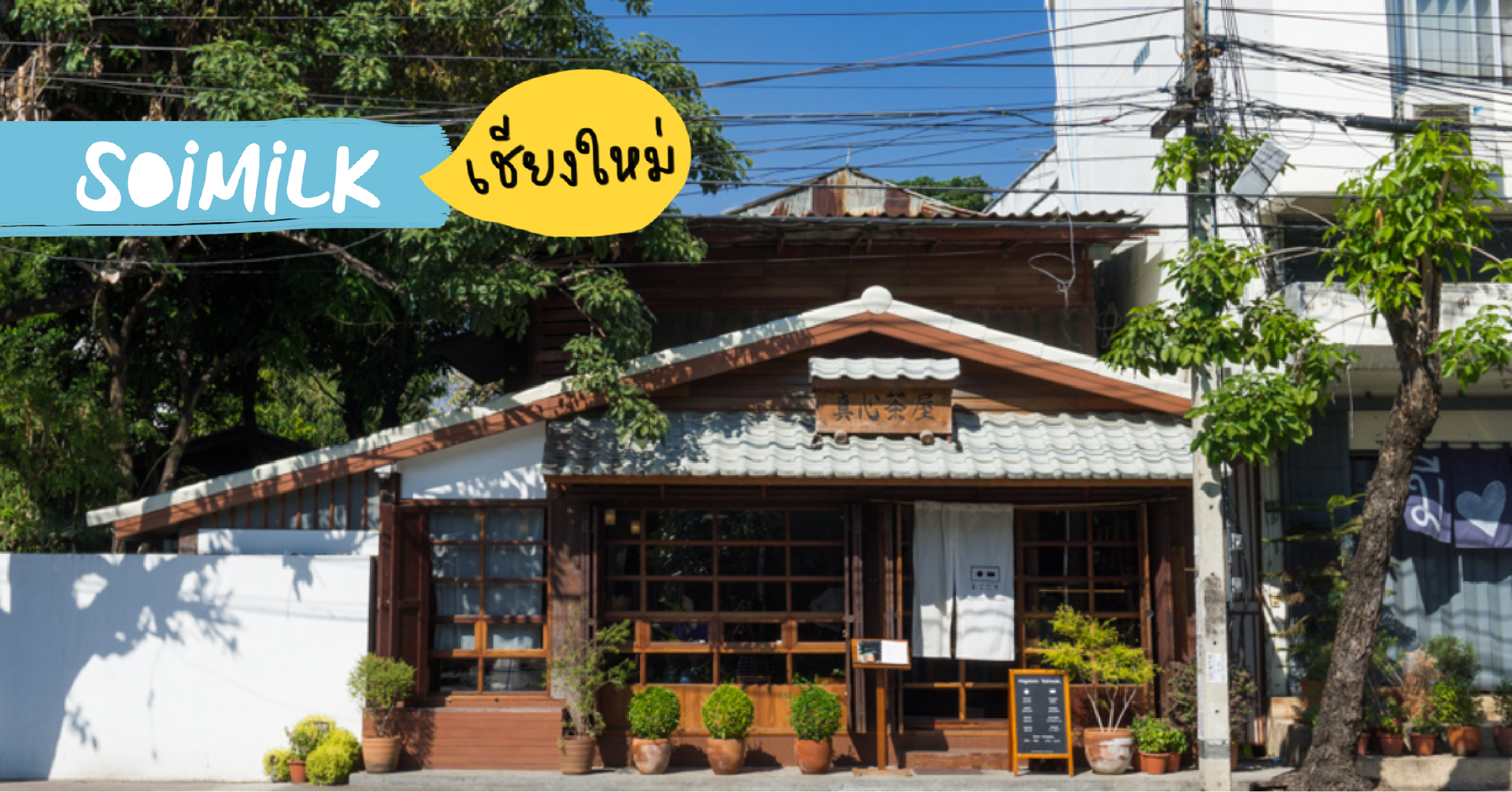 มัทฉะอยู่ที่ใจ ความจริงใจอยู่ในรสชาติ ‘Magokoro’ ร้านน้ำชาสไตล์ญี่ปุ่นกลางเมืองเชียงใหม่ ที่เราอยากให้ลองไปสักหน