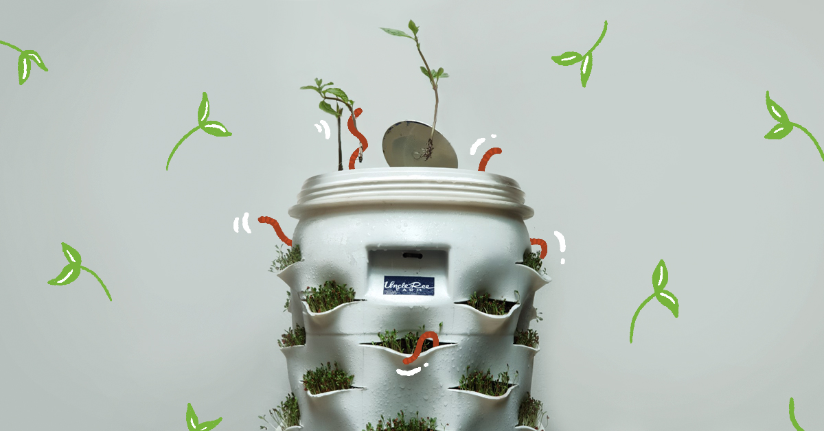 มาเลี้ยงไส้เดือนกันเถอะ! ความท้าทายใหม่ช่วงกักตัวกับชุดเลี้ยงไส้เดือนด้วยตัวเองจากฟาร์มลุงรีย์