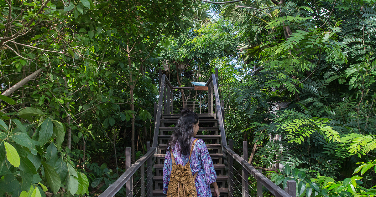 พาไปเดิน ป่าในกรุง พักสมองกับพรรณไม้กว่า 270 ชนิด