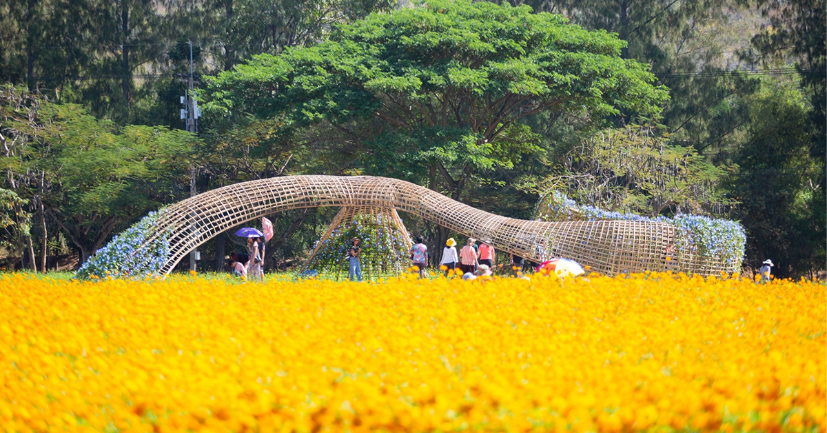 แวะเวียนกลับไปเยี่ยม Jim Thompson Farm รับลมหนาวอย่างมีคอนเซปต์ กับธีม ‘ดอกไม้บาน อีสานม่วนซื่น’