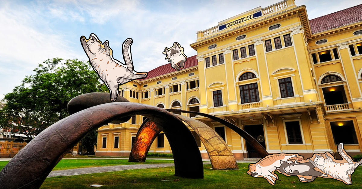 ชมมิวเซียมสยามยามค่ำคืนพร้อมเรียนรู้เรื่องแมว ๆ ใน Night at the Museum “รวมพลคนหลงแมว”