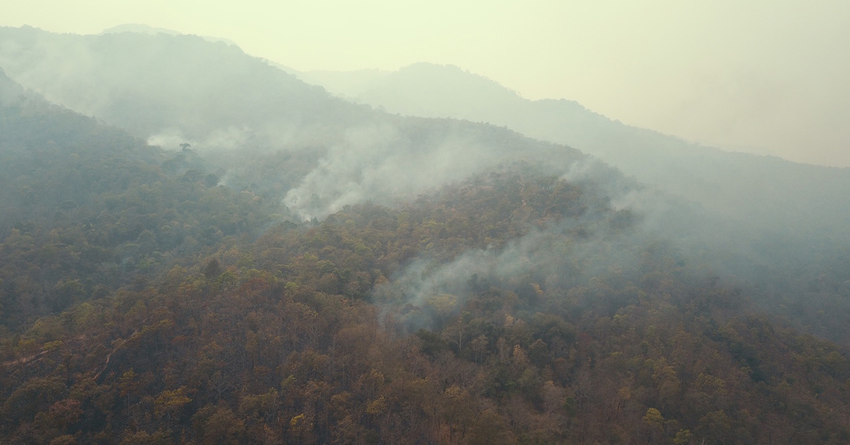 ART for AIR นิทรรศการศิลปะที่จะเกิดขึ้นทั่วเชียงใหม่ เพื่อต่อลมหายใจใหม่ให้เชียงใหม่