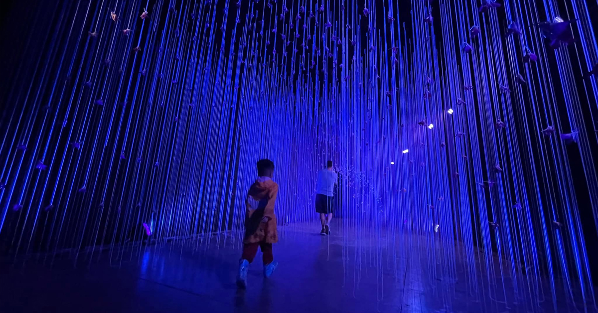 Form of Feeling นิทรรศการ Flower Installation ที่เปลี่ยนพื้นที่ปากคลองตลาดให้เป็นพื้นที่สำรวจอารมณ์