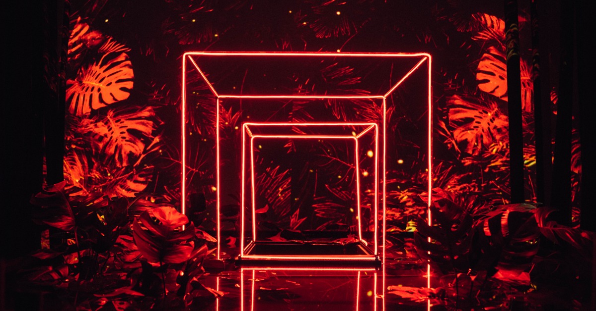 ท่องป่าอย่าง ‘เจ้าป่า’  ใน The Forest Exhibition ของ BOWKYLION ที่เปลี่ยน Lido Connect เป็นดงดอกไม้