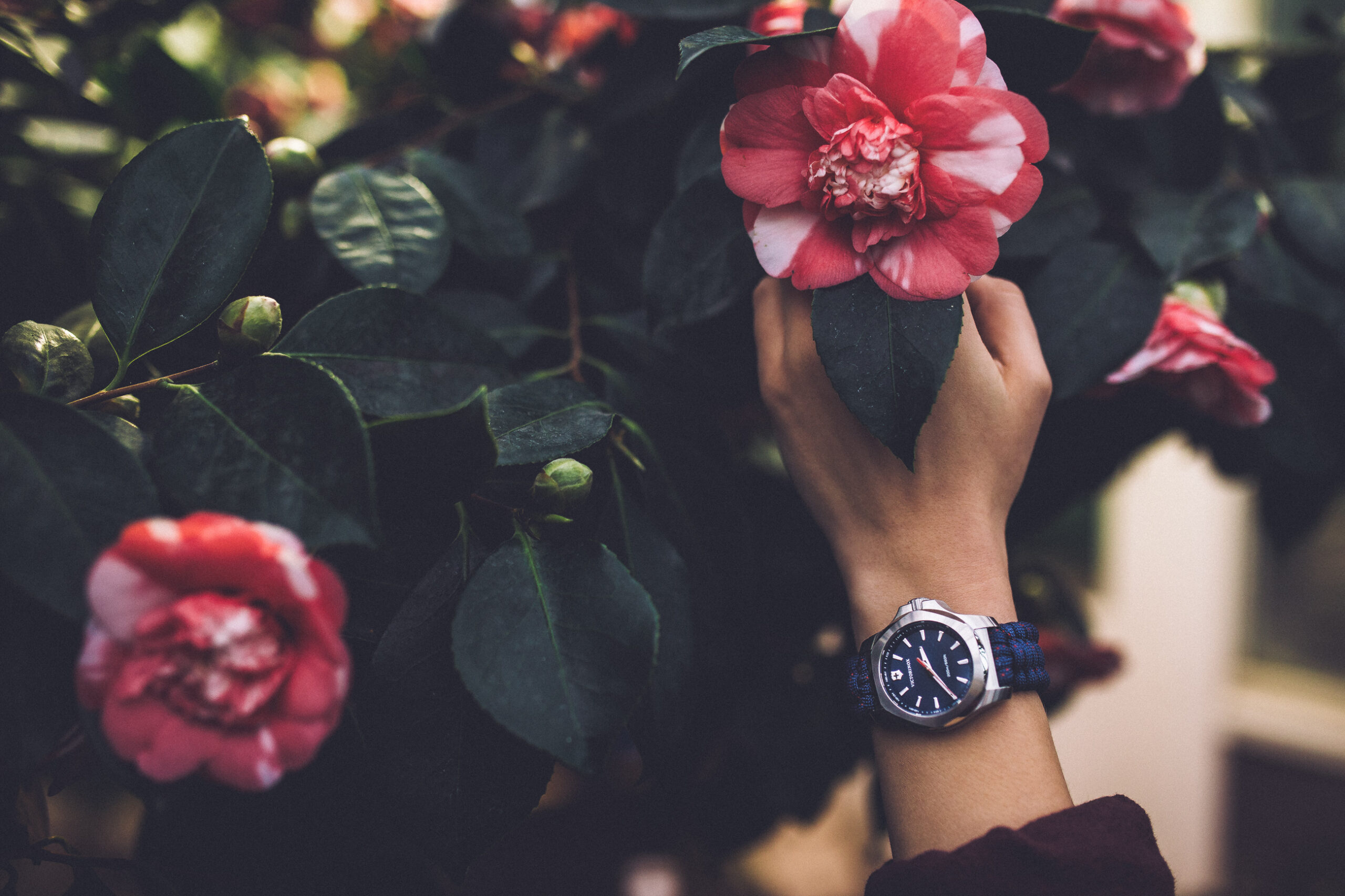 อัพเดตไอเท็มคู่ใจสปอร์ตเกิร์ลที่ต้องฟิตเป๊ะในทุกสถานการณ์