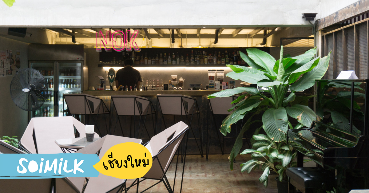 Thunder Bird โฮสเทลสร้างสรรค์ในเชียงใหม่ ที่รวมเอาสัตว์ประหลาดทุกอย่างมาอยู่ด้วยกัน