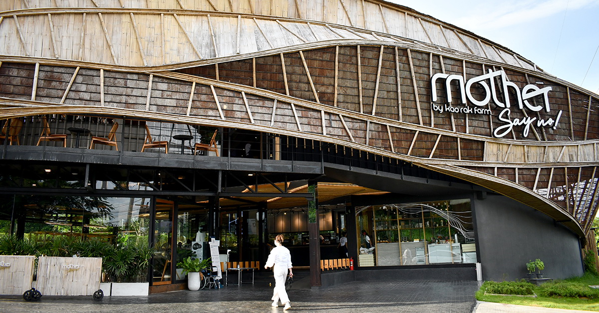 เขาใหญ่ใหม่ล่าสุด! 4 พิกัดเปิดใหม่ที่คนไปเขาใหญ่ปลายปีนี้ไม่ควรพลาด