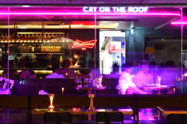 Cat on the Roof MBK จากแมวเจ้าถิ่นย่านสะพานควาย สู่เสือตัวใหม่แห่งวงการกินดื่มย่านสยาม-มาบุญครอง