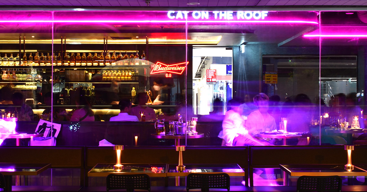 Cat on the Roof MBK จากแมวเจ้าถิ่นย่านสะพานควาย สู่เสือตัวใหม่แห่งวงการกินดื่มย่านสยาม-มาบุญครอง