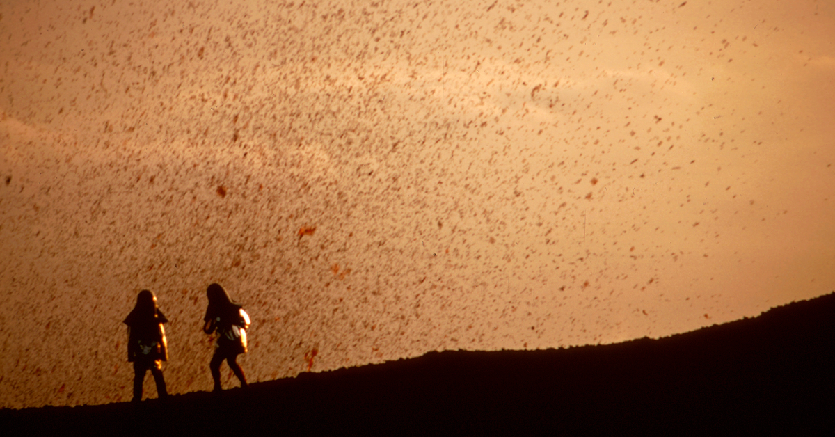 รักยิ่งใหญ่จากหญิงชายคู่หนึ่ง: ชวนดูสารคดีคุณภาพ Fire of Love ที่เล่าความหมายของชีวิต ความรัก และความตายได้อย่างงดงาม