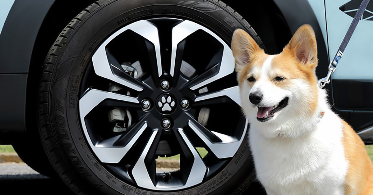 Honda Japan ปล่อยไอเทมใหม่ภายใต้คอลเลกชัน Honda Dog แอกเซสเซอรีรถสำหรับทาสหมาที่คิวต์จนใจเจ็บ