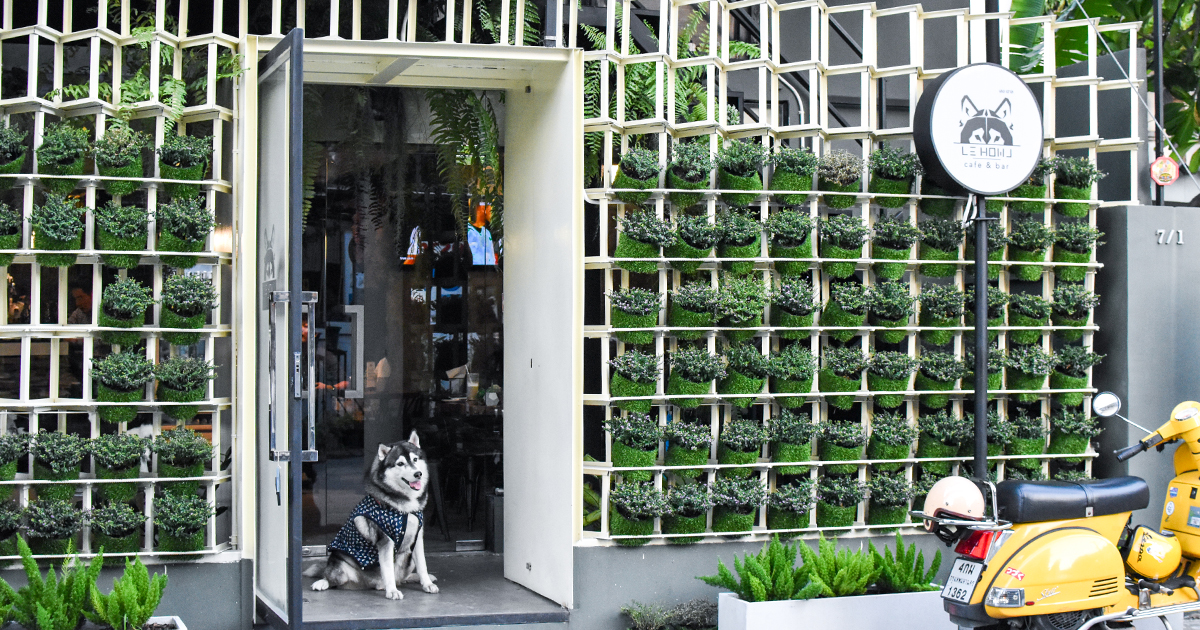 รวม 5 ร้านเปิดใหม่ในซอยอารีย์ ไปทั้งทีต้องเก็บให้ครบ