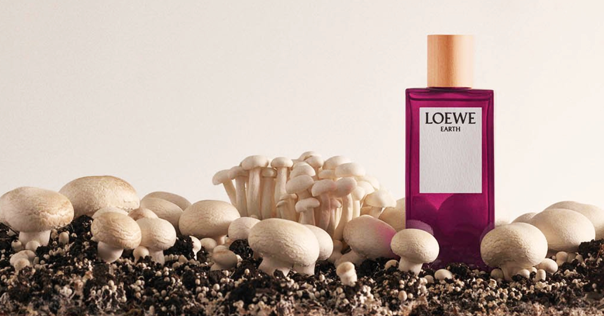 LOEWE เปิดตัวน้ำหอมจากซีรีส์ Botanical Rainbow กลิ่นใหม่ LOEWE Earth EDP ที่หยิบแรงบันดาลใจจาก ‘ทรัฟเฟิล’