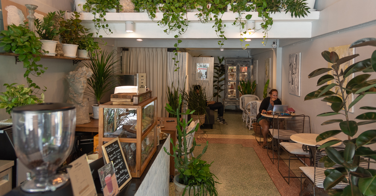 Magic Everyday Coffee & Bar ทำทุกวันให้เหมือนชั่วโมงต้องมนตร์ กับคาเฟ่สไตล์โบทานิคัลย่านราชปรารภ