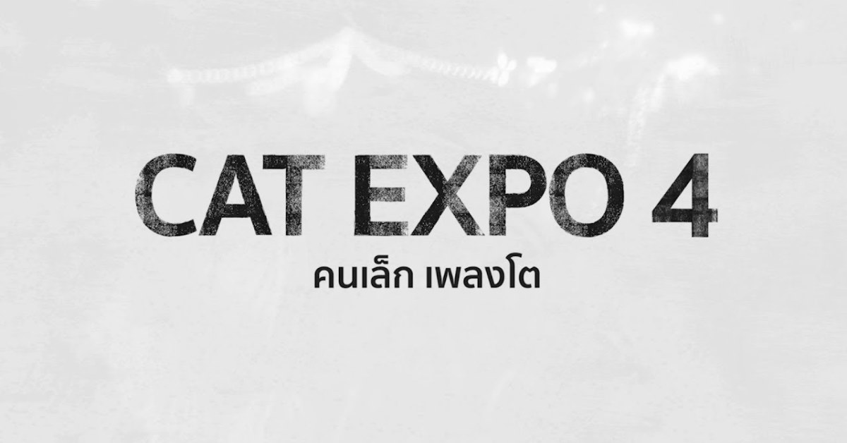 ไป Cat Expo 4 ยังไงให้คุ้มค่าบัตรที่สุด ! ลิสต์ 12 โชว์ห้ามพลาดที่ควรเก็บให้ครบใน 2 วัน
