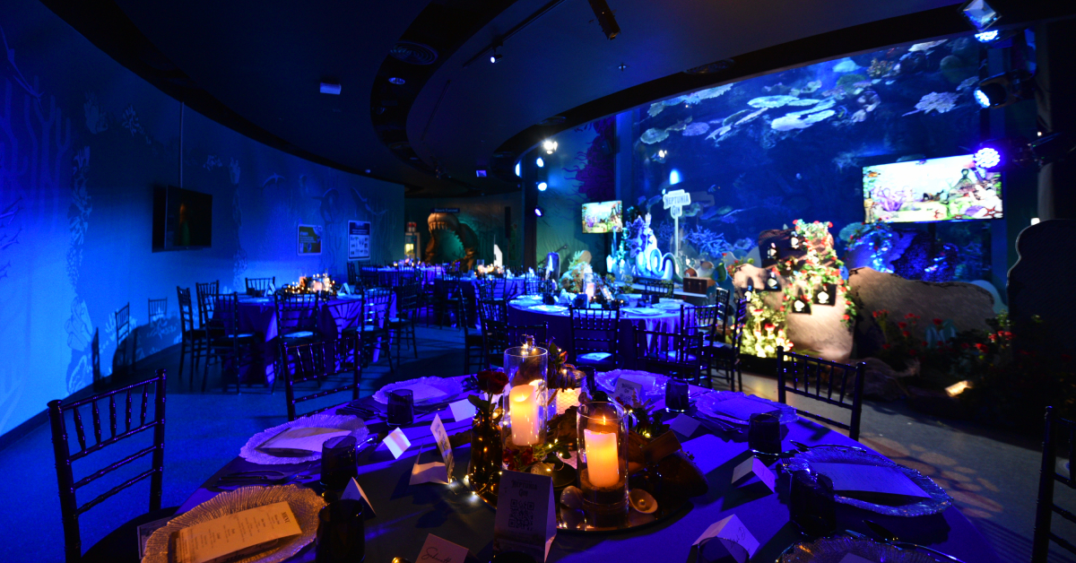 Hendrick’s ชวนล่องทะเลแห่งรสชาติไปกับสูตรเพาะบ่มพิเศษ Neptunia ที่มิกซ์เป็นอะไรก็ได้อย่างใจทั้งนั้น