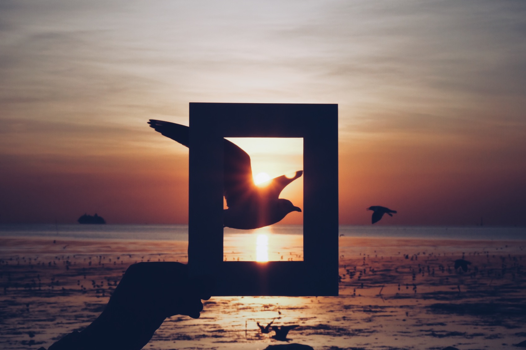 5 เหตุผลที่ควรกลับไปเยือน “บางปู” อีกครั้ง