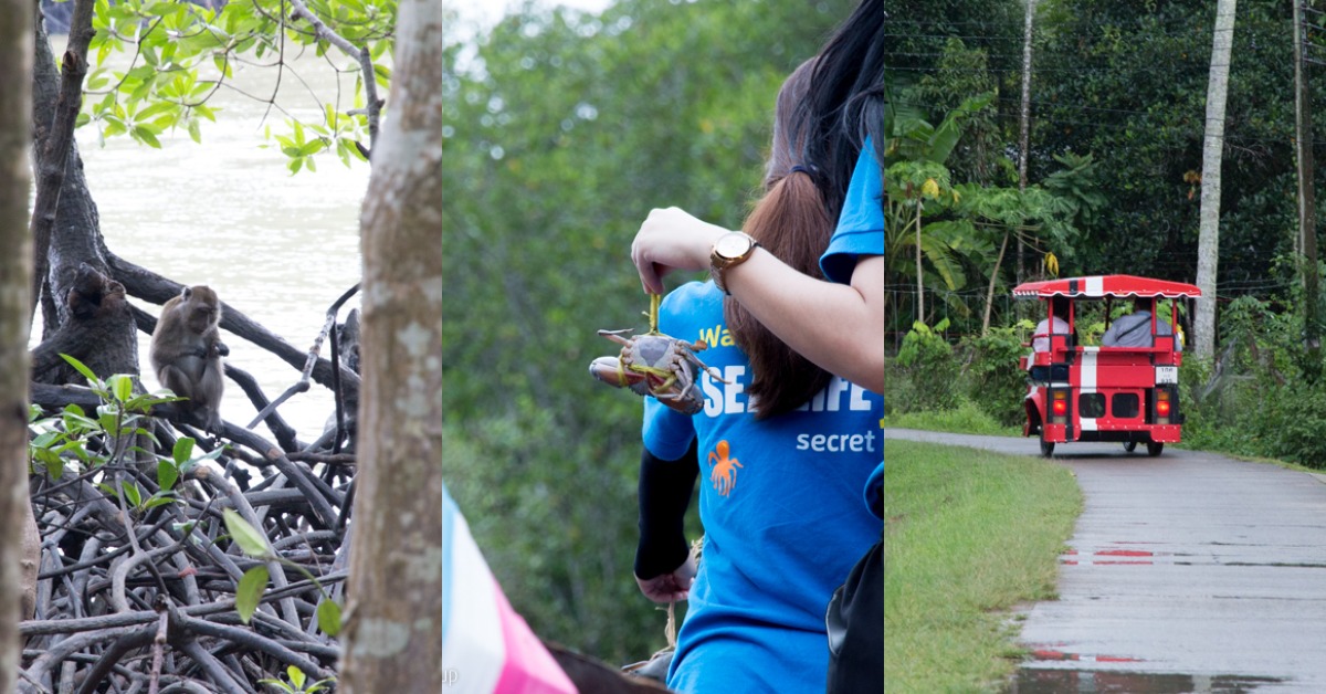 ออกไปเที่ยวกระบี่แบบใหม่ที่สนุกด้วย ได้ดูแลธรรมชาติไปด้วย