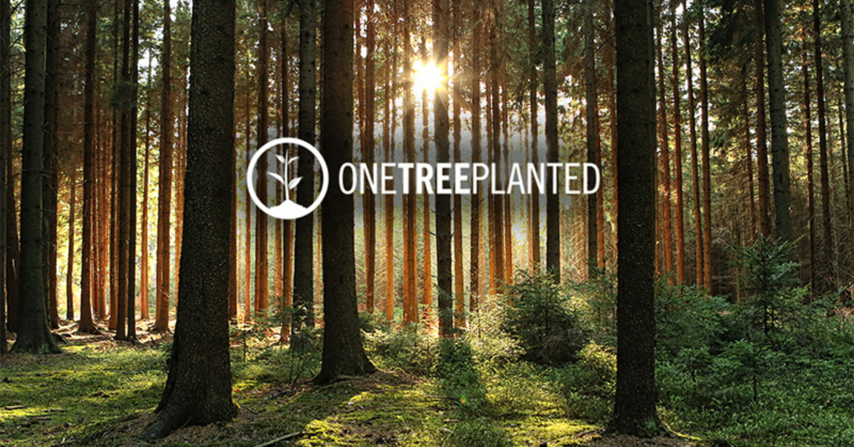 รักใคร ให้ต้นไม้: ชวนส่องไอเดียของขวัญสุดกรีน Plant A Tree Kit ขององค์กรปลูกป่า One Tree Planted