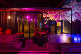 Pocha Ekkamai ยกร้านเหล้าเต๊นท์แดงข้างทางแบบเกาหลีแท้ ๆ มาไว้กลางเอกมัย