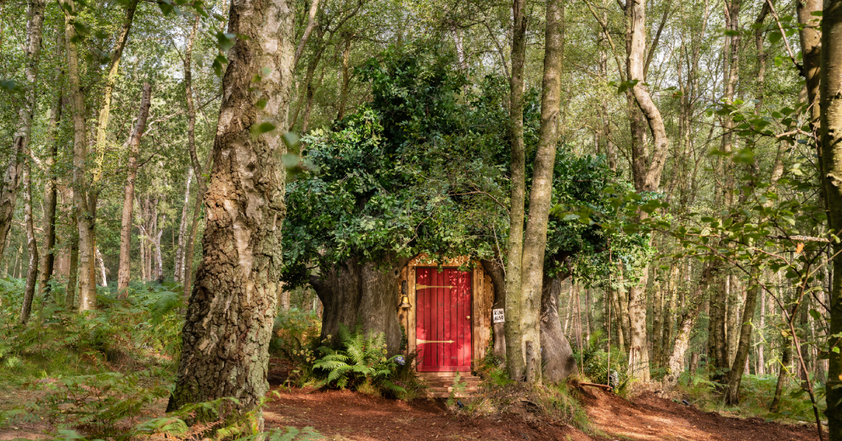 Disney x Airbnb โปรเจกต์ทำบ้าน Winnie the Pooh ให้เช่า ฉลองครบรอบ 95 ปี คาแรกเตอร์สุดที่เลิฟของคนทั่วโลก