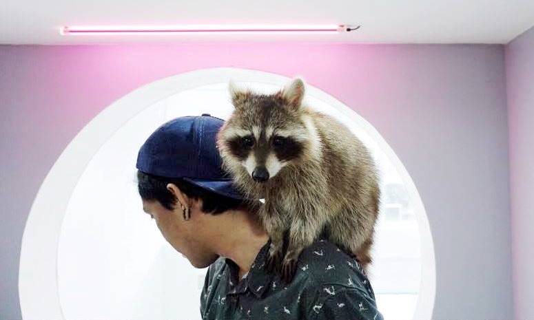 เพลิดเพลินกับ 5 คาเฟ่พร้อมบรรดาสัตว์แสนน่ารักทั่วกรุงเทพฯ