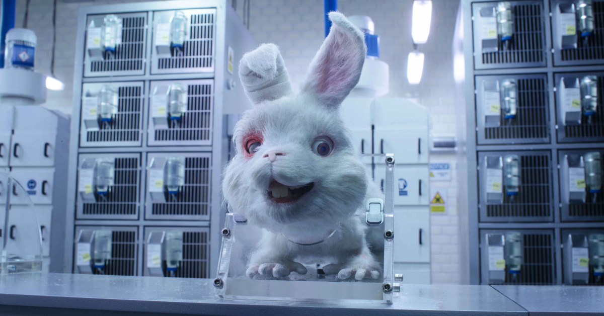 ชวนดูสตอปโมชันกระทบหัวใจ Save Ralph จากแคมเปญต่อต้านการใช้สัตว์ทดลองของ Humane Society International