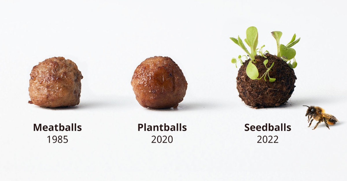 จับมือไว้แล้วไป(รักษ์โลก)ด้วยกัน: WWF x IKEA ทำแคมเปญผลิต ‘มีตบอล’ ให้แมลง ช่วยอนุรักษ์ความหลากหลายทางชีวภาพในเดนมาร์ก