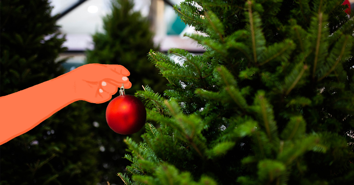 มาหลงรักเทศกาลคริสต์มาสให้มากยิ่งขึ้นกับต้นสนแต่งบ้านจากแคนาดา