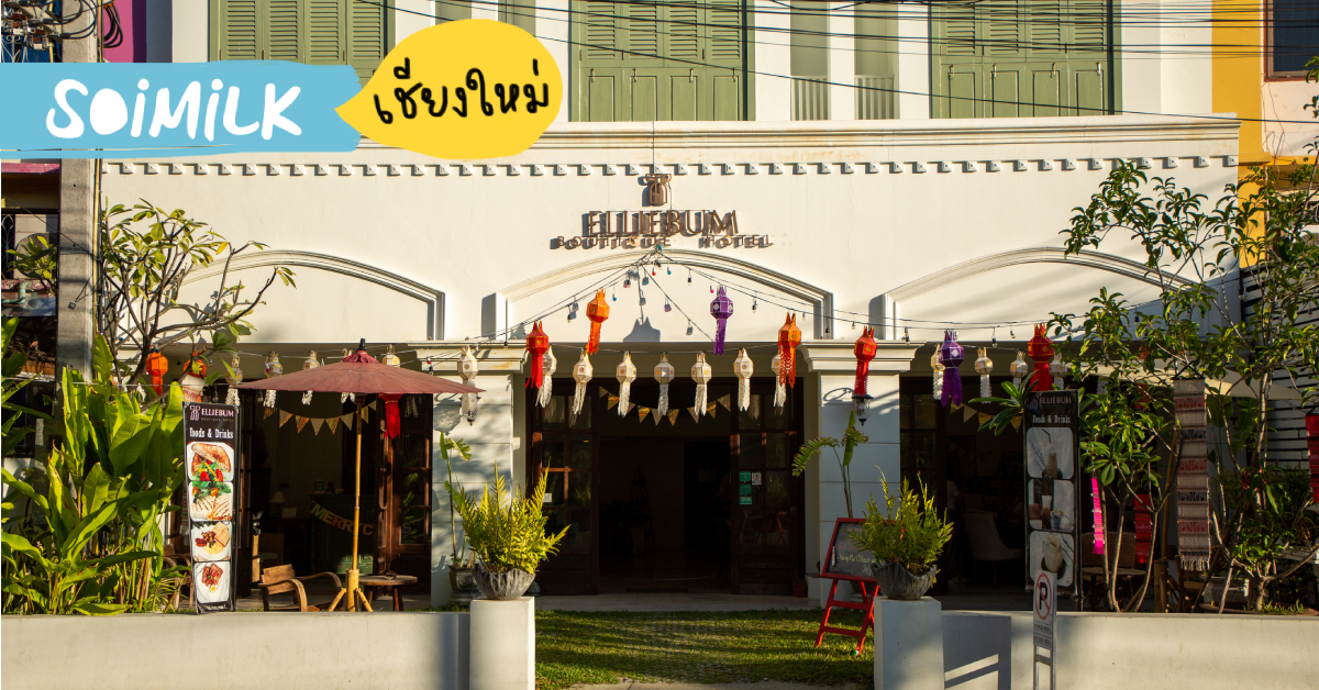 ชวนมาพัก Elliebum Boutique Hotel โรงแรมแสนอบอุ่นใจกลางเมืองเชียงใหม่