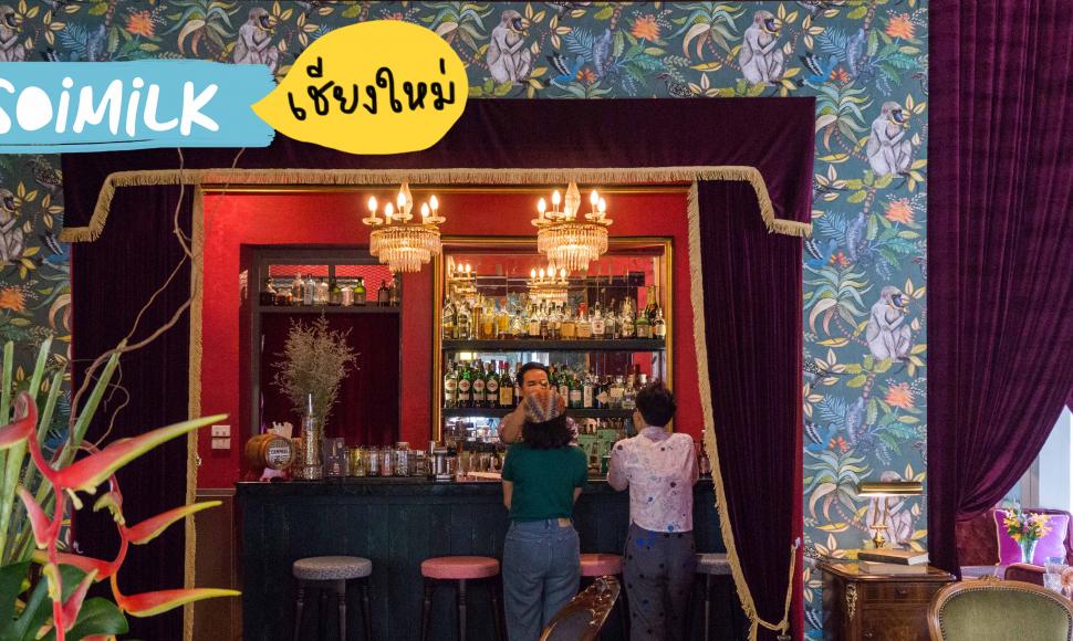 The House Lounge By Ginger ค็อกเทลเลานจ์ที่ผสานวัตถุดิบเชียงใหม่ไว้ใต้หน้าตาอันสุดแสนจะอินเตอร์