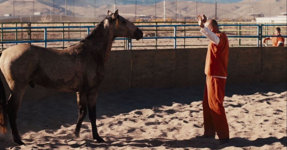 ขัดเกลาอารมณ์ไปกับ The Mustang หนังคุณภาพที่จะกระตุกทุกหัวใจคนเคยทำผิดและคนอยากเริ่มต้นใหม่