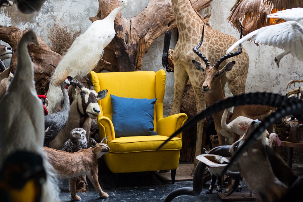 Old is New! ท่องป่าซาฟารีกลางกรุงในโฮสเทลที่ไม่เหมือนใคร