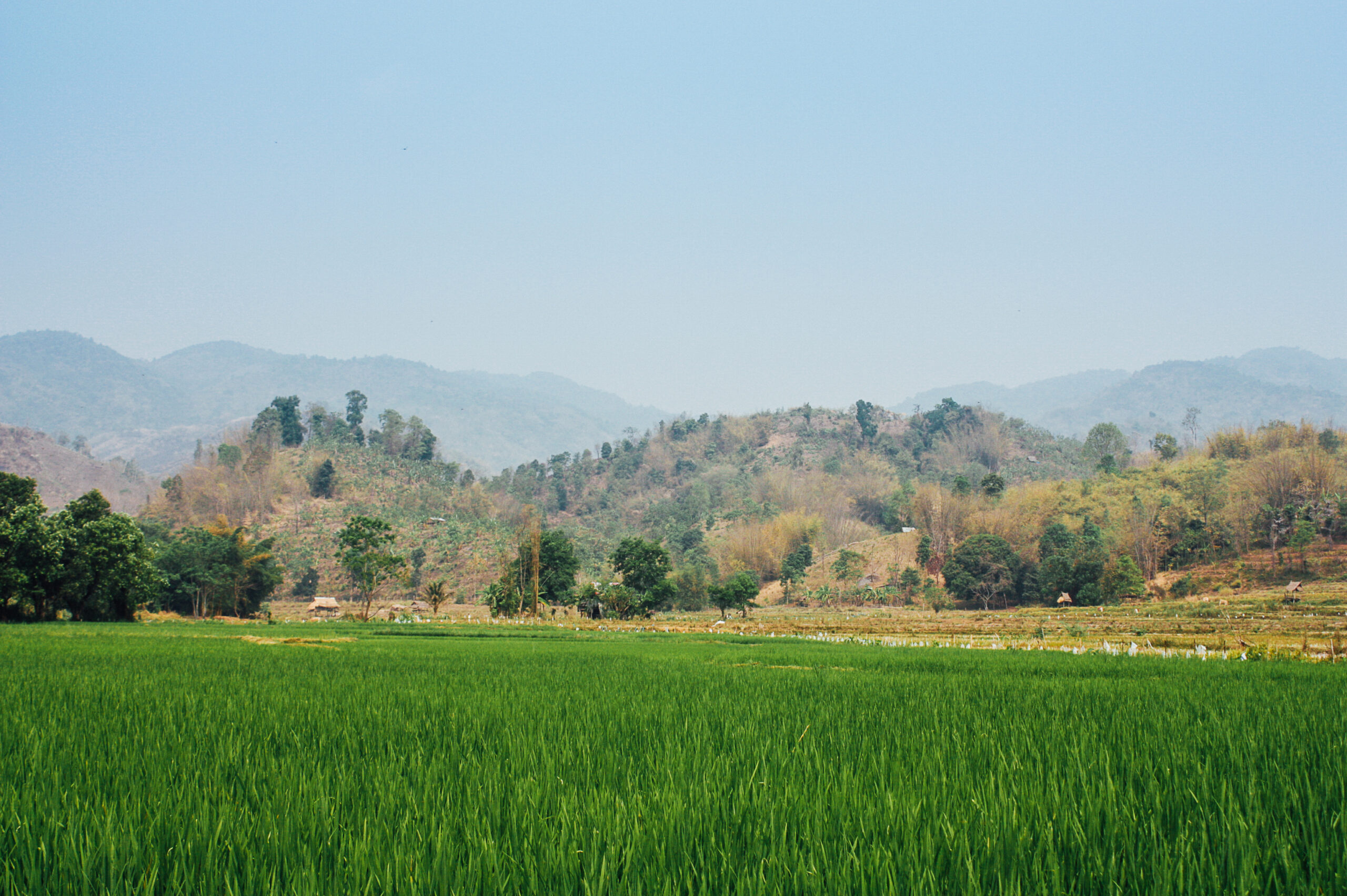 พาไปเที่ยว Tigerland Rice Farm กับชีวิตแบบชาวนา