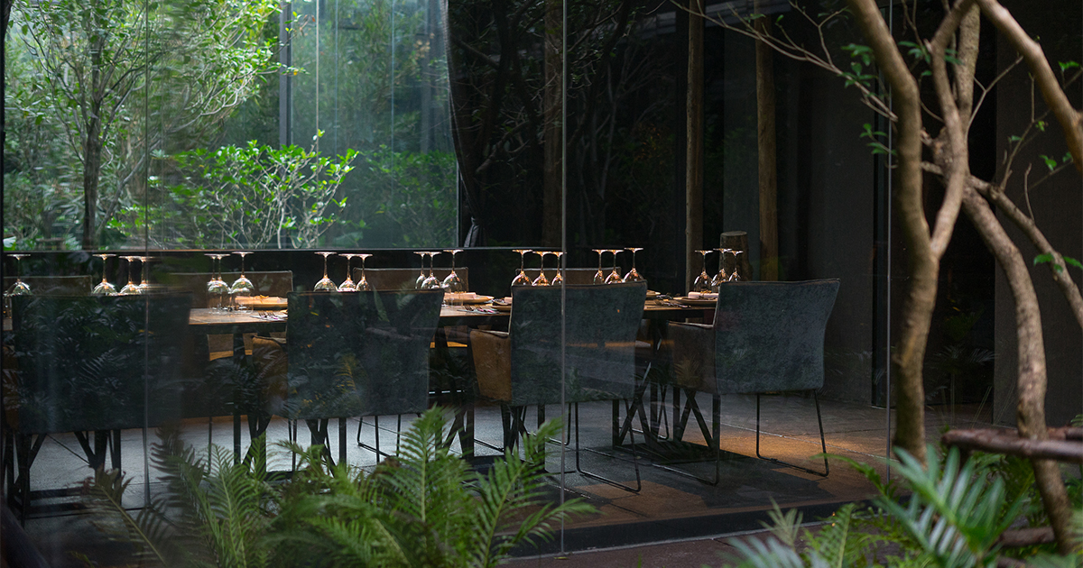 “Wang Hinghoi” ห้องอาหารที่ผสมผสานทั้งความเป็นป่าและเมืองเข้าไว้ด้วยกัน ภายใต้แสงไฟจากหิ่งห้อยนับร้อยตัวใจกลาง RCA